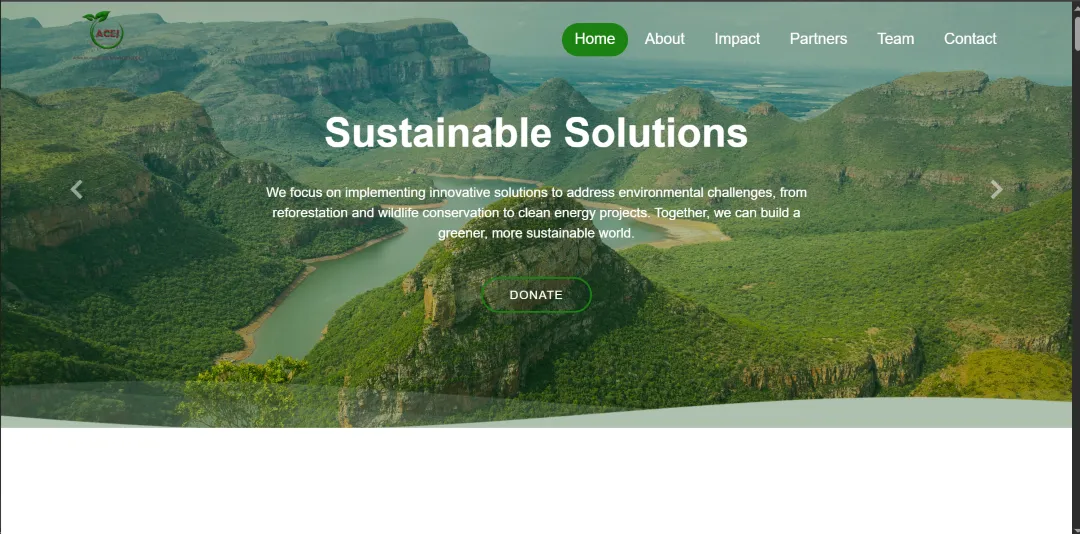 ACEJ website by LeAds Ug